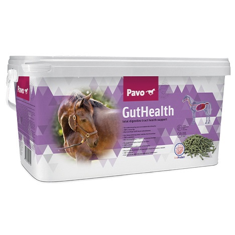 Pavo GutHealth 