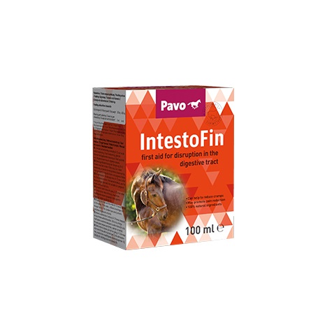 Pavo IntestoFin 