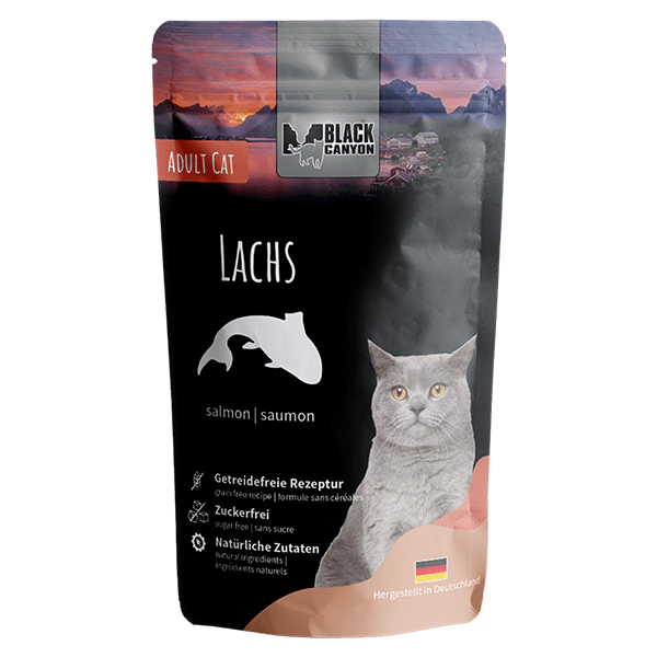 Black Canyon cat "Lachs"