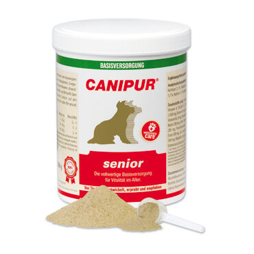 Canipur Senior