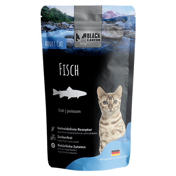 Black Canyon Cat "Fisch"