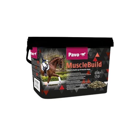 Pavo MuscleBuild 