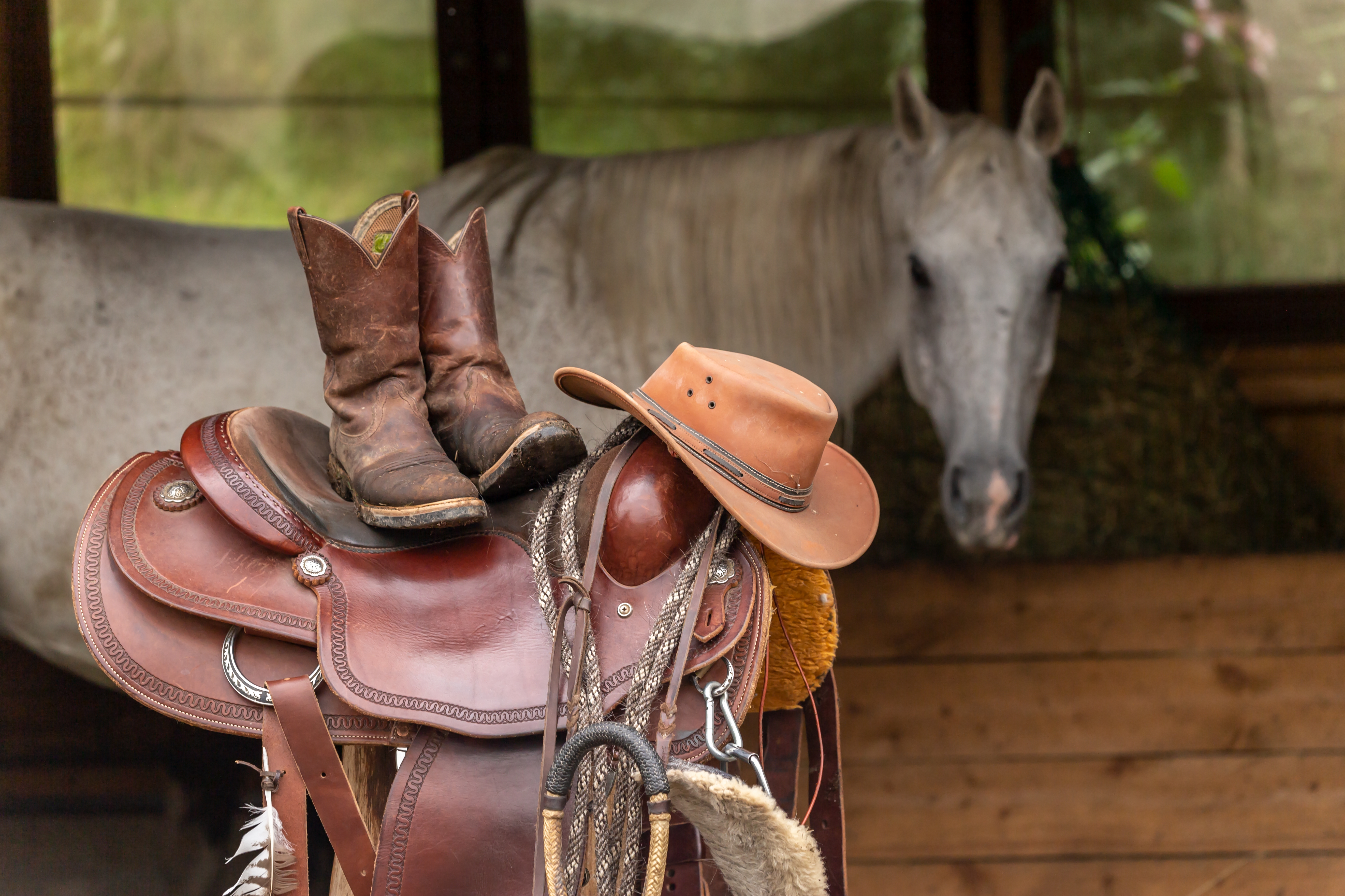 Ein Sattel, Cowboyschuhe und ein Hut stehen vor einem weißen Pferd