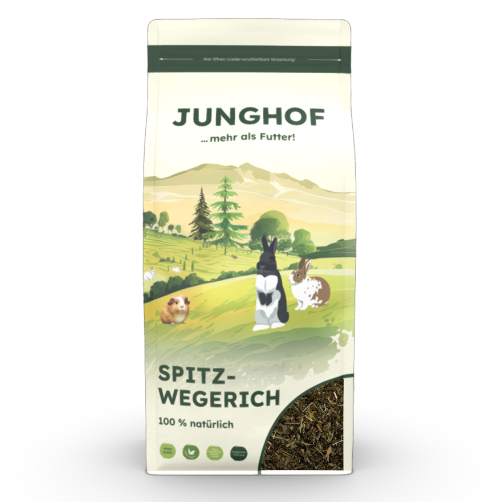 Junghof Spitzwegerich