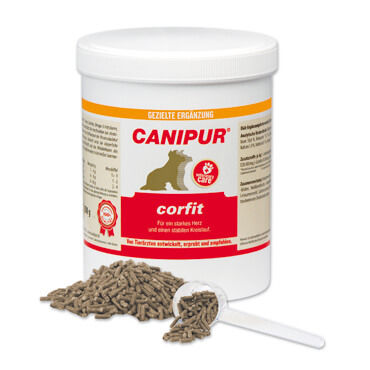 Canipur Corfit 