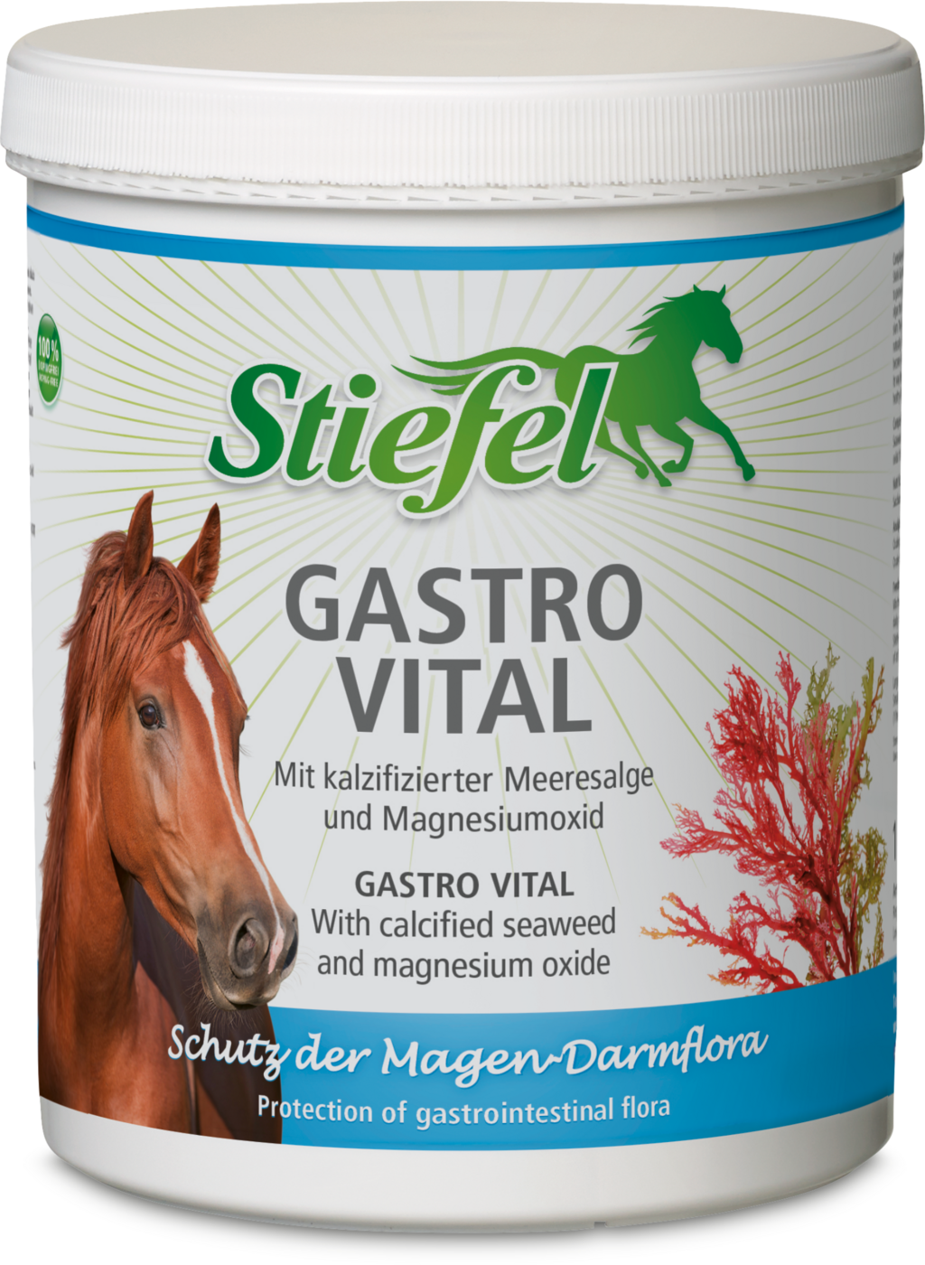 Stiefel Gastro Vital 
