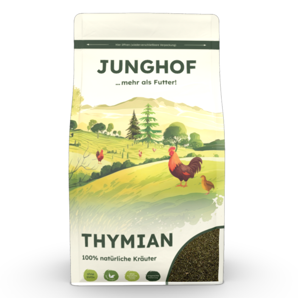 Junghof Thymian