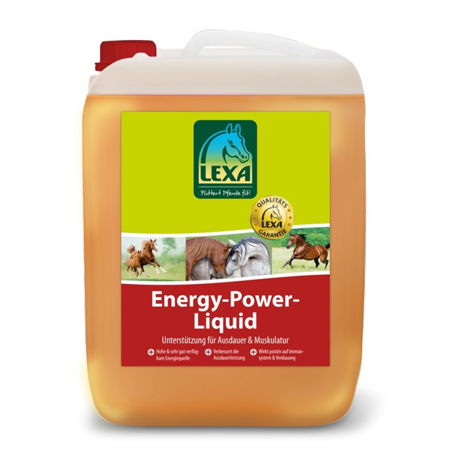 Lexa Energy-Power-Liquid 