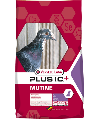 Versele Mutine Plus I.C.+ Mauser MHD 10.10.2025