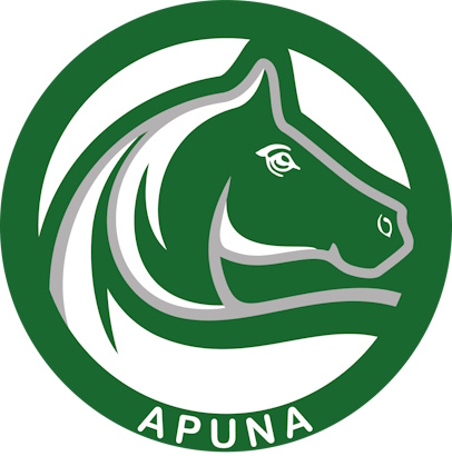 Apuna