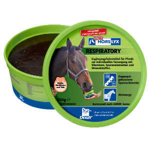 Derby Horslyx Respiratory