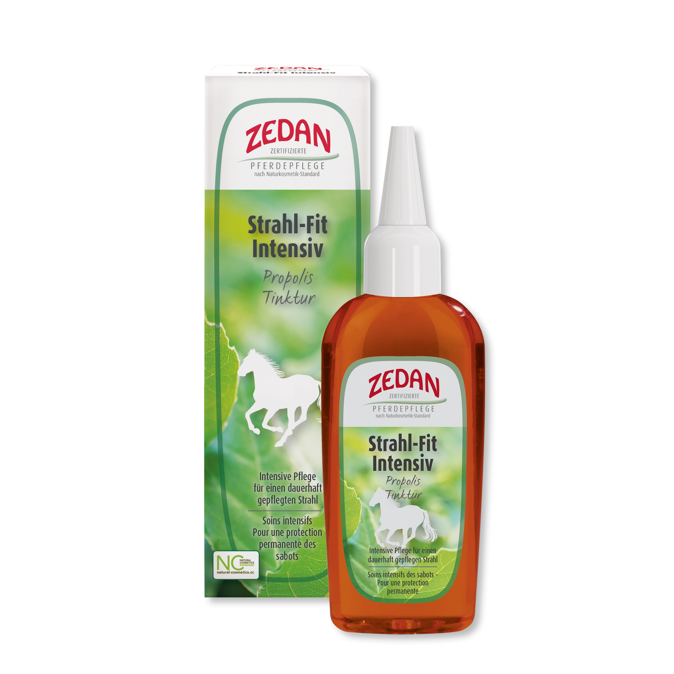 Zedan Strahl-Fit Intensiv 