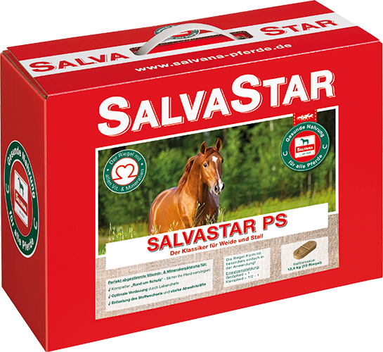 Salvana Salvastar PS-Brikett 12,5 kg