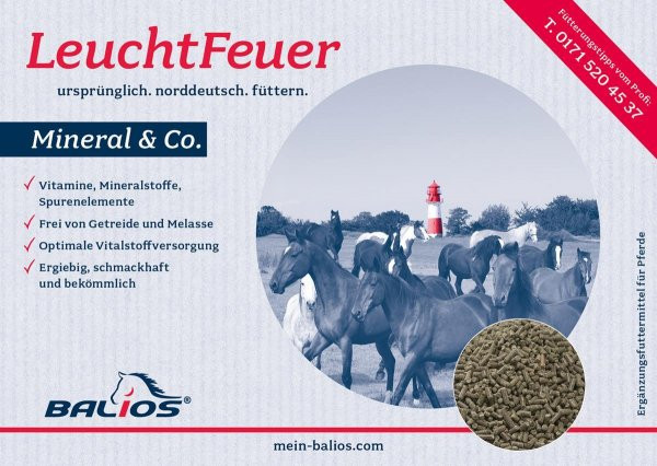 Balios Leuchtfeuer Mineral & Co. 8 kg
