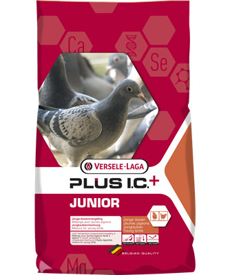 Versele Junior Plus I.C.+ Jungtauben 20 kg